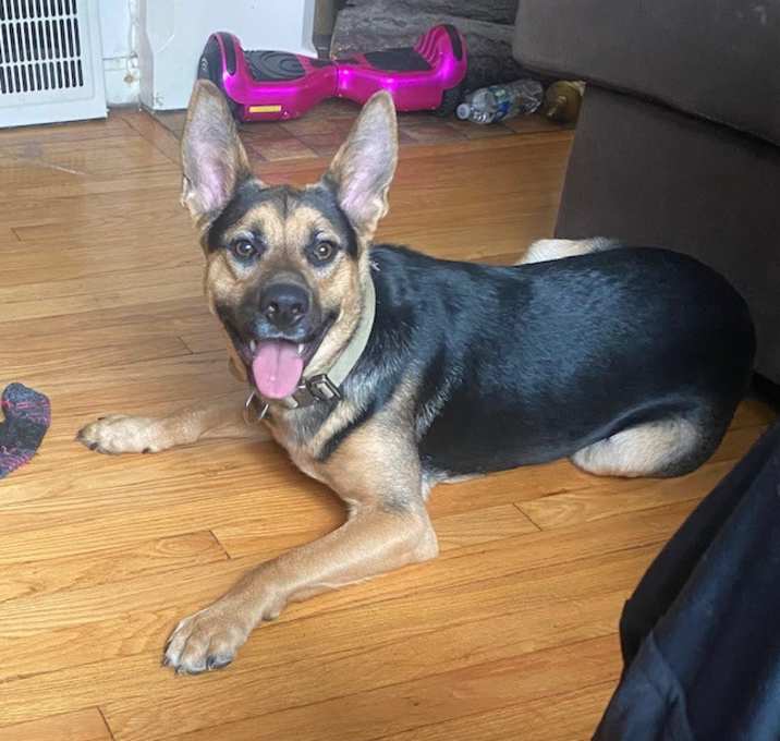 Photo of Chase-courtesy post