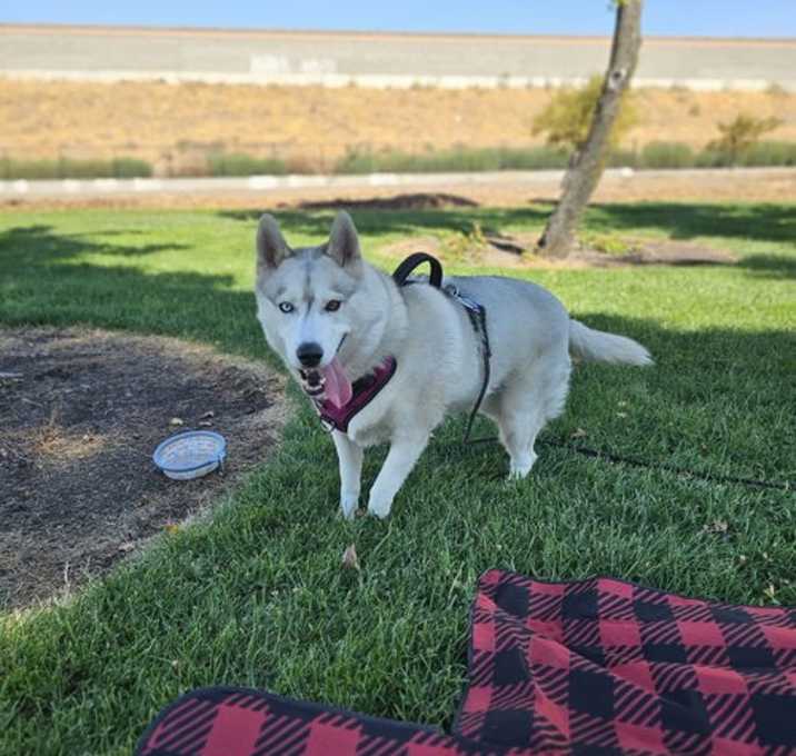 Photo of Lola
