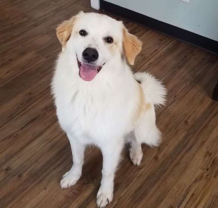 Photo of Finley