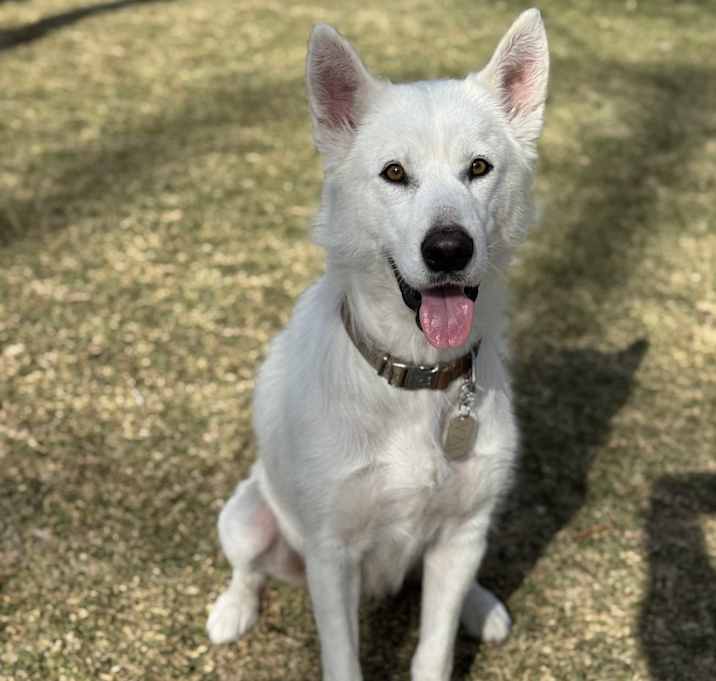 Photo of Aurora