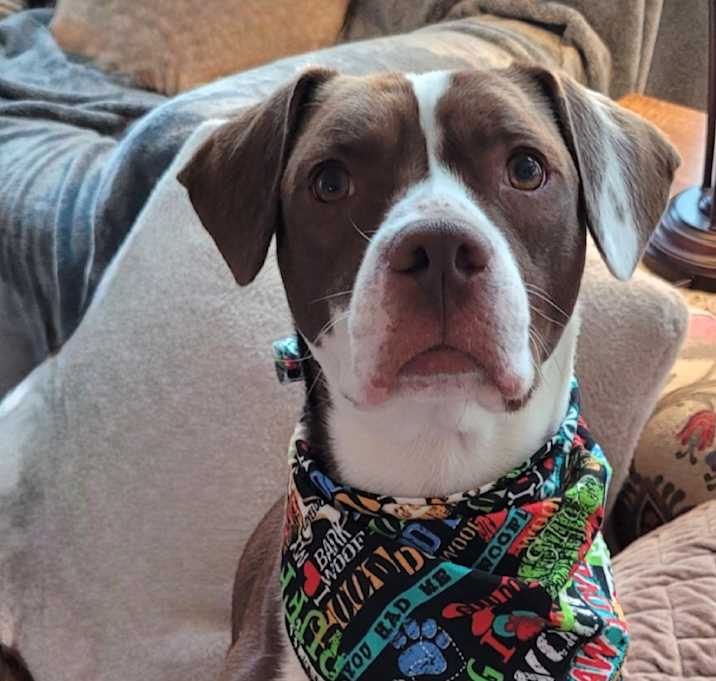 Photo of Benny