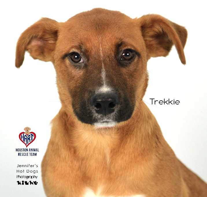 Photo of Trekkie