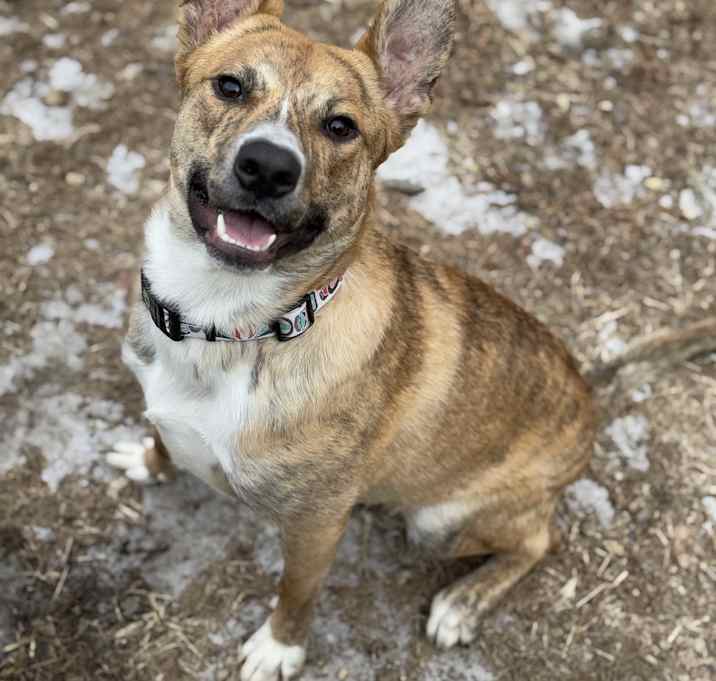 Photo of Monty