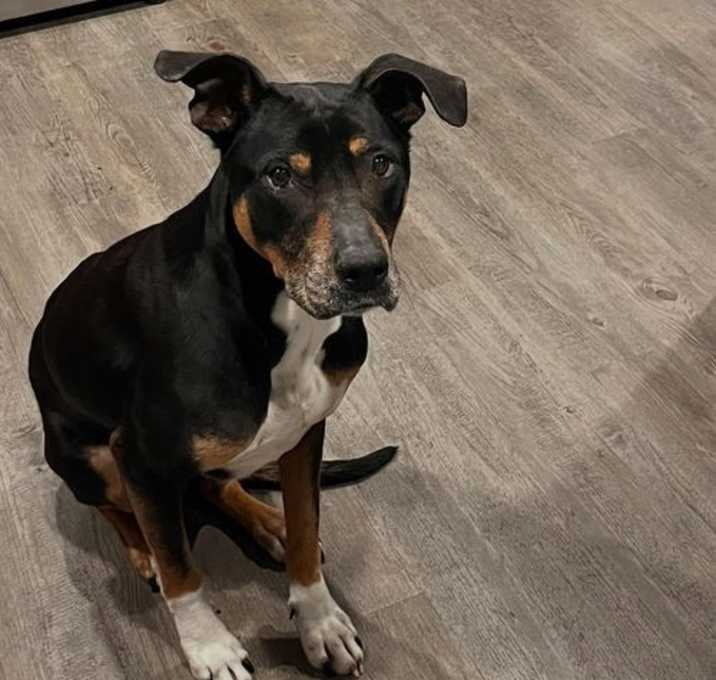 Photo of Duke