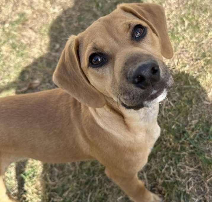 Photo of Rizzo