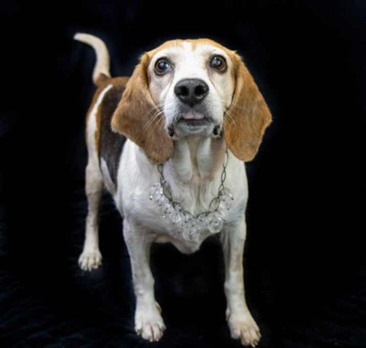 Photo of Bessie