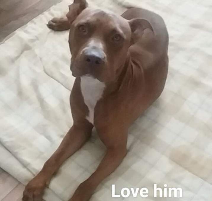 Photo of RED
