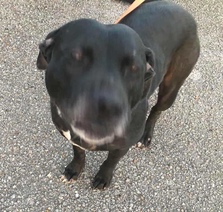 Photo of Maggie