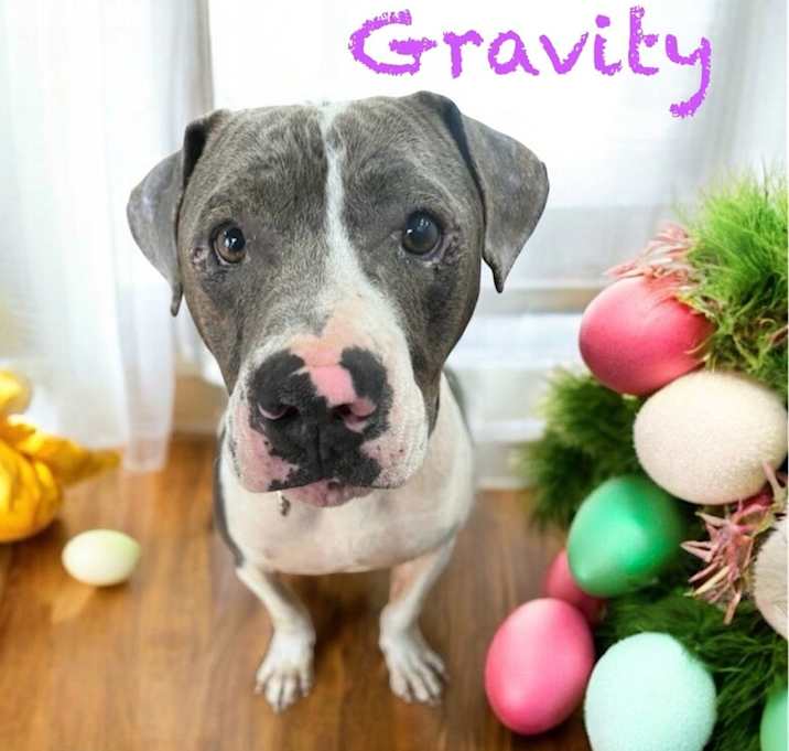 Photo of Gravity