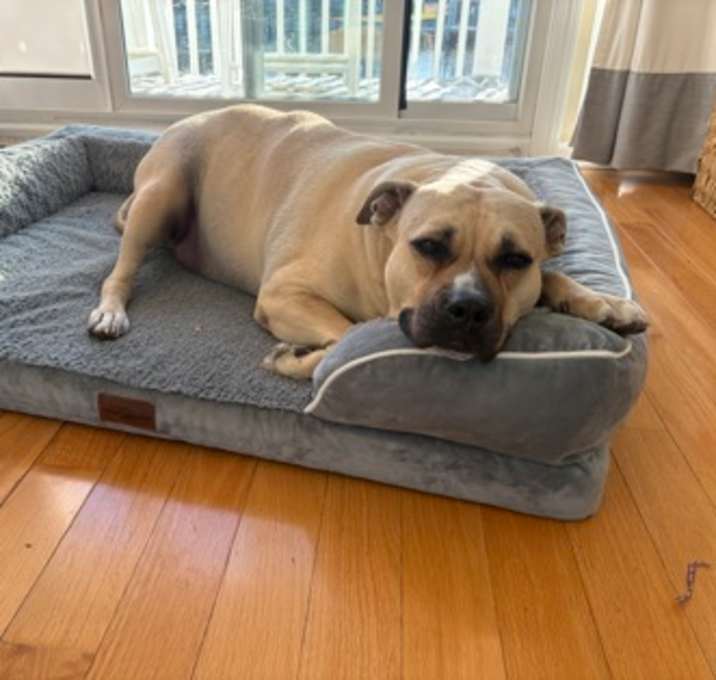 Photo of Chloe