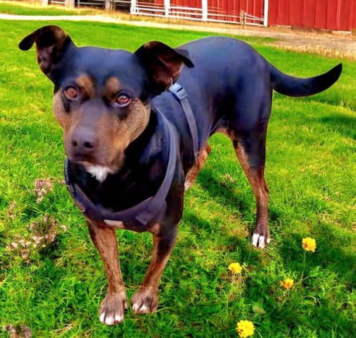 Photo of OAKLEY