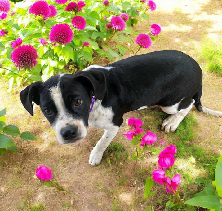 Photo of Mindy
