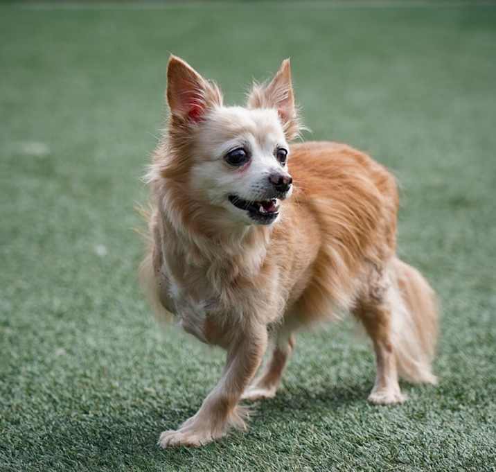 Photo of Ernie