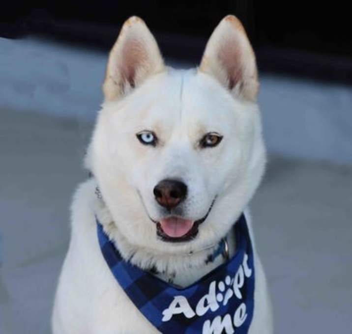 Photo of Dominic