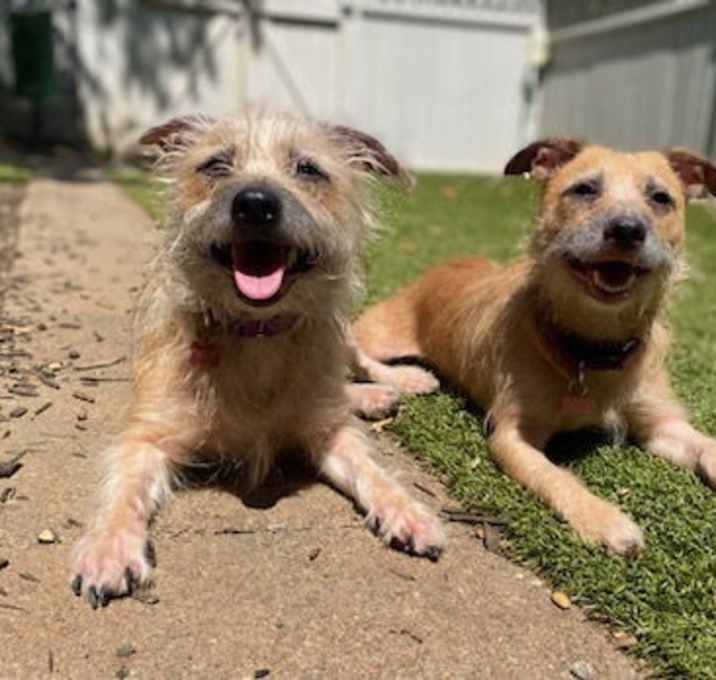 Photo of Alice + Hazel