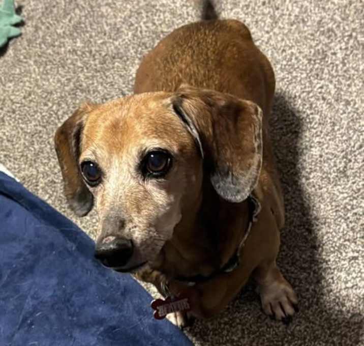 Photo of Holly