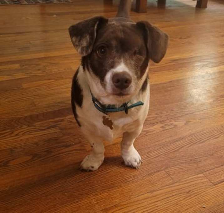 Photo of Ruby