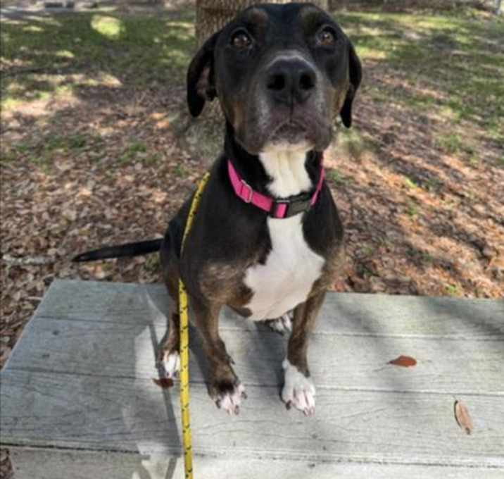 Photo of DAISY