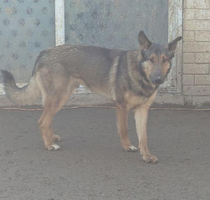 Photo of Sam