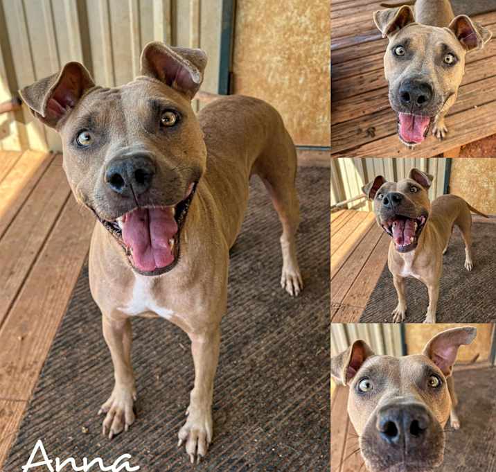 Photo of Anna