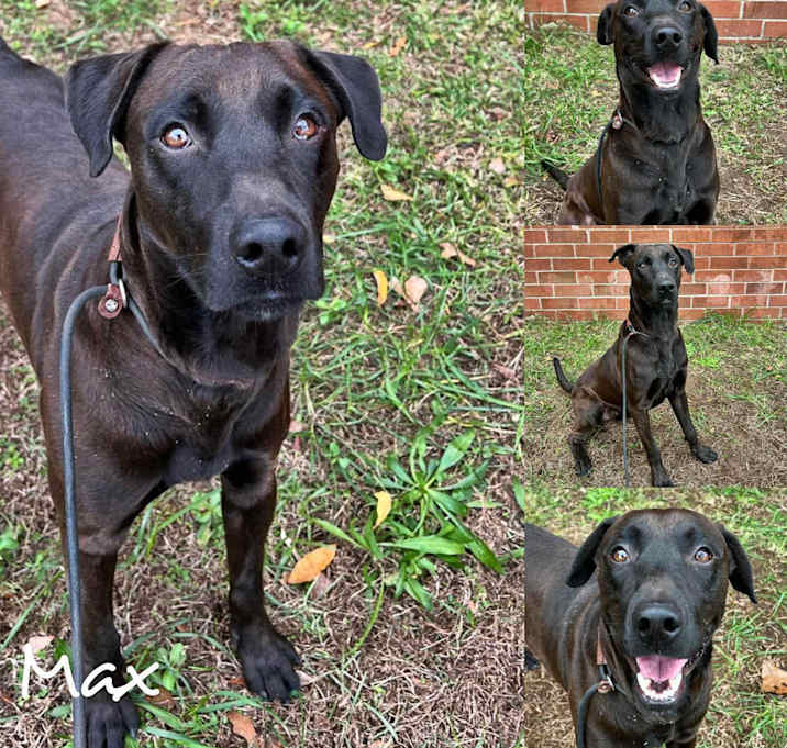 Photo of Max