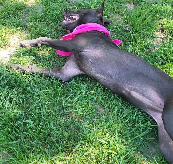 Photo of Mocha