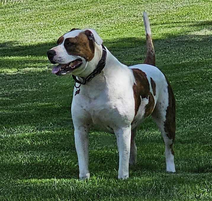 Photo of Leo