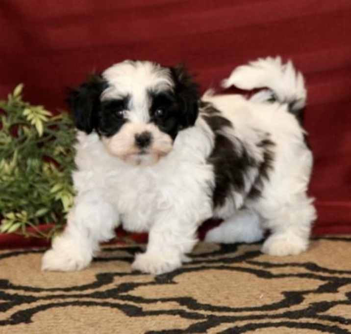 Photo of SALLY