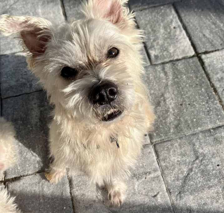 Photo of Zeus
