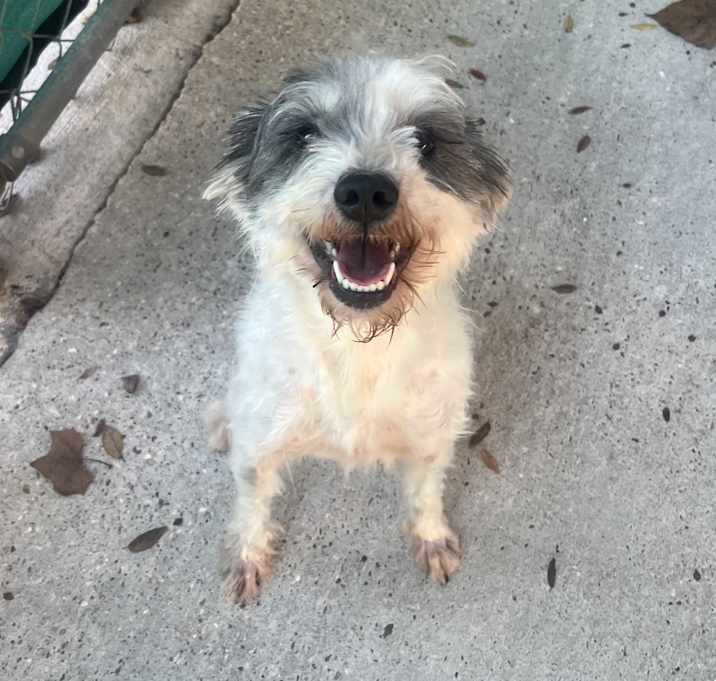 Photo of Sally