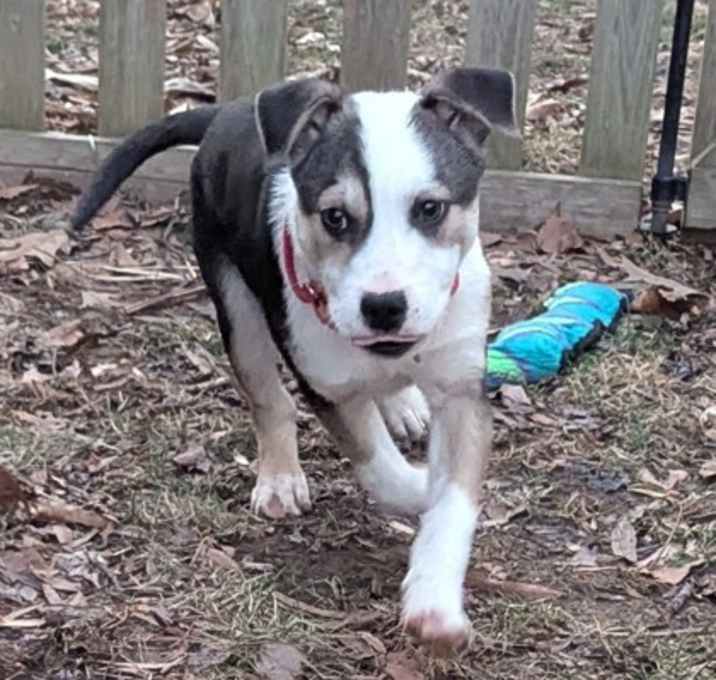Photo of Linus