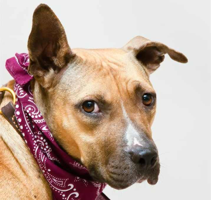 Photo of CANNOLI