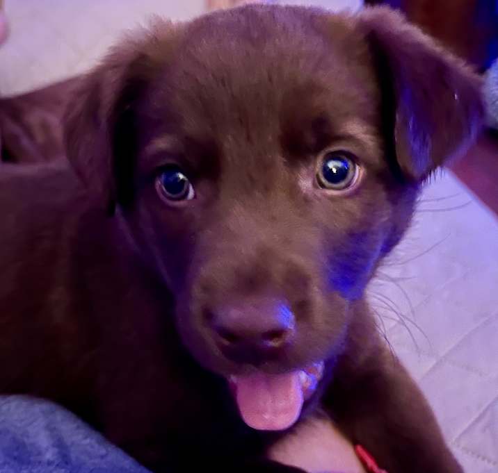 Photo of PENNY