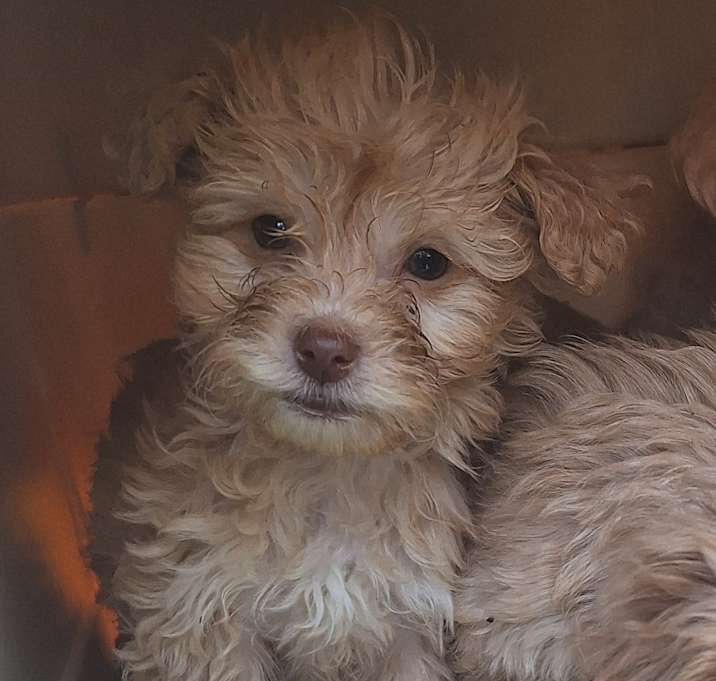 Photo of Billy