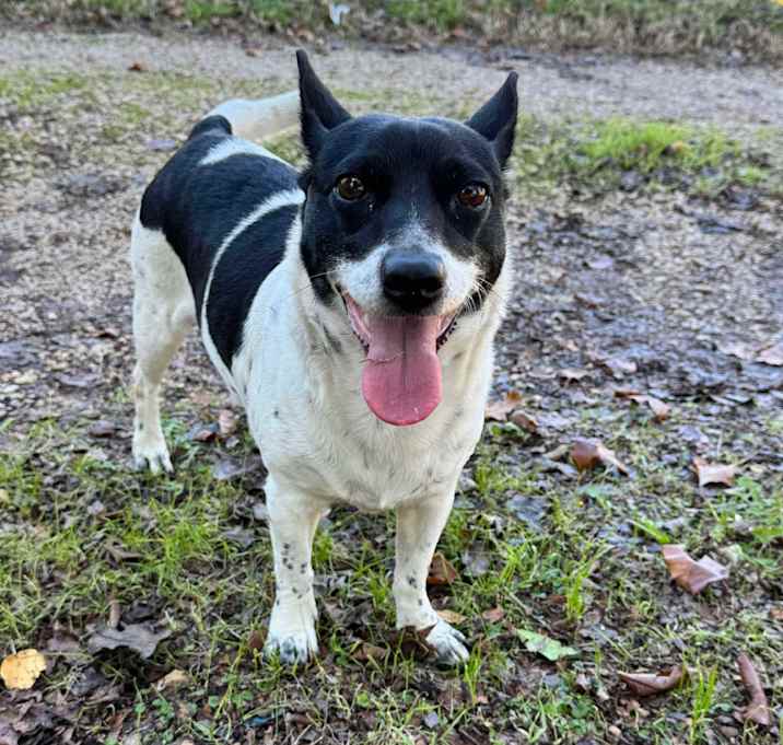 Photo of Poppy