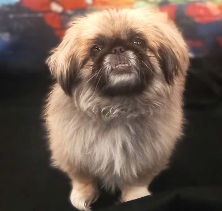 Photo of Tinker-NOT TAKING ANY MORE APP