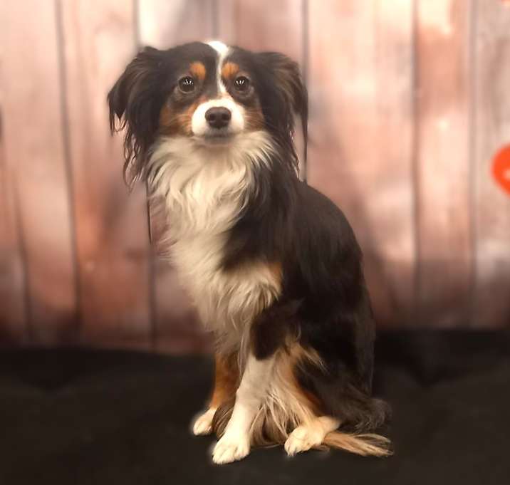 Photo of Freya-NOT TAKING ANY MORE APPS