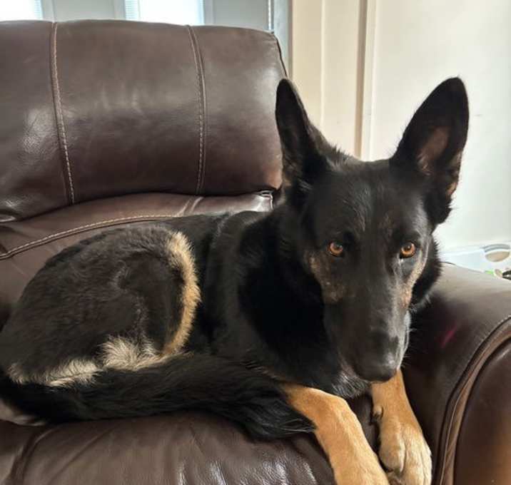 Photo of Kali