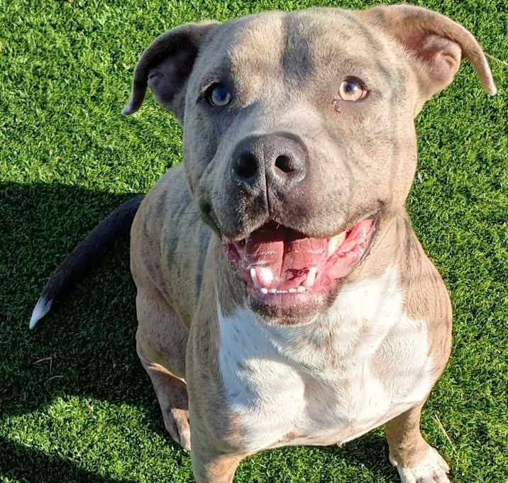 Photo of CANE