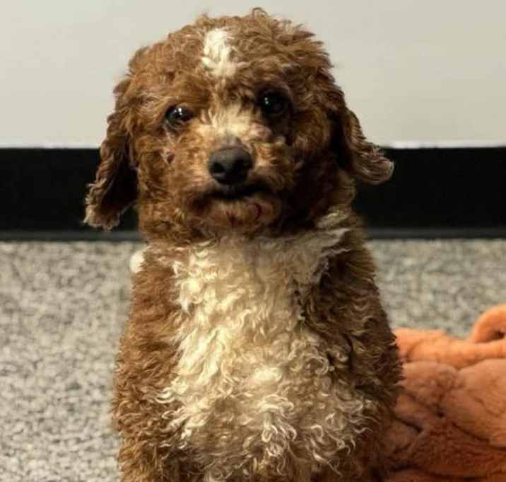 Photo of Rudy