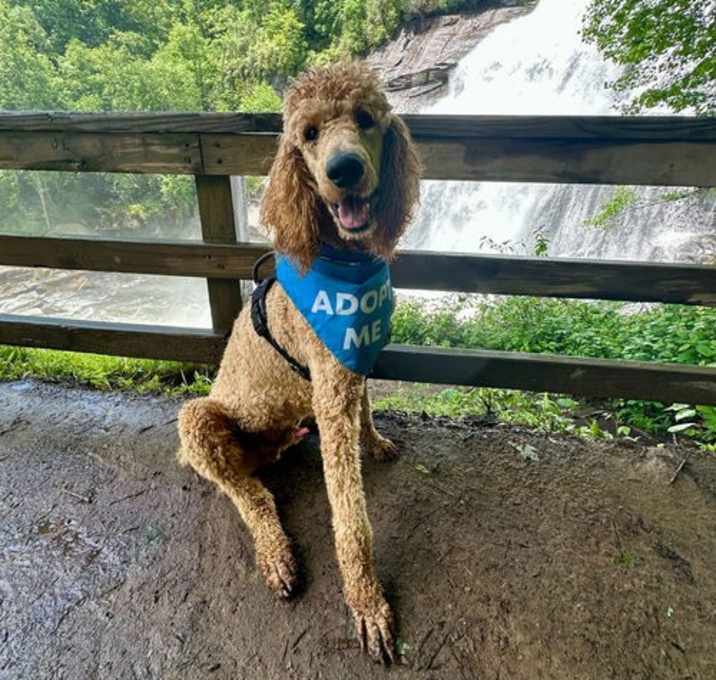 Photo of Bentley Nov 24