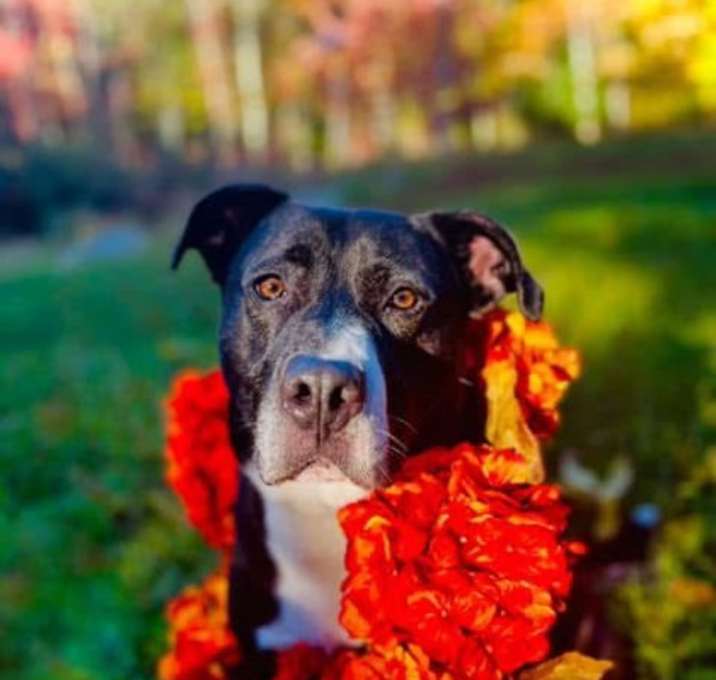 Photo of Hero