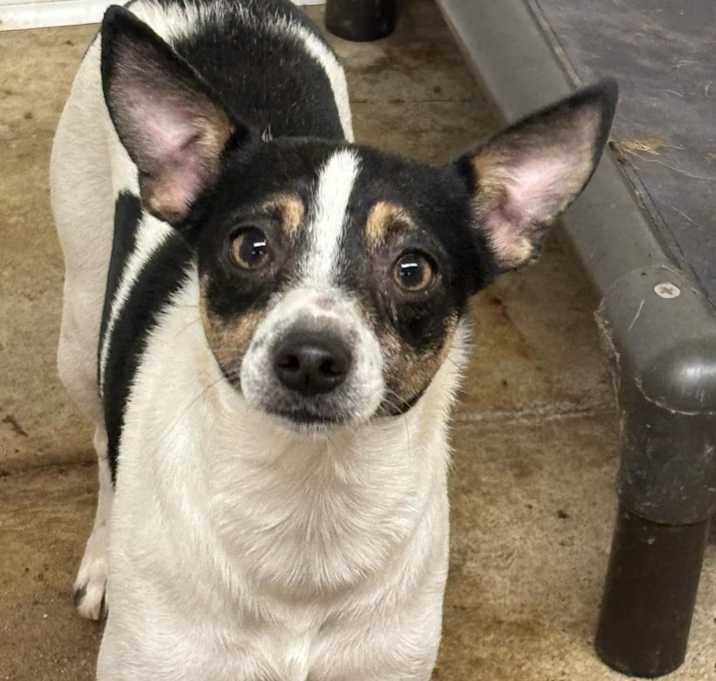 Photo of Lilly