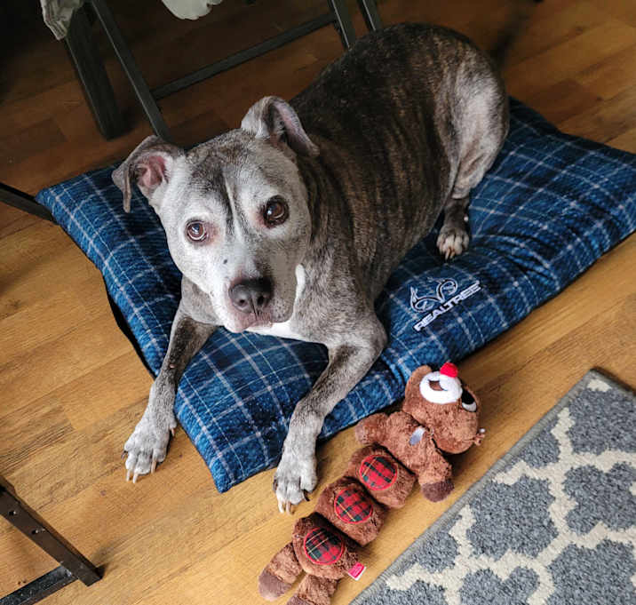 Photo of Jessie