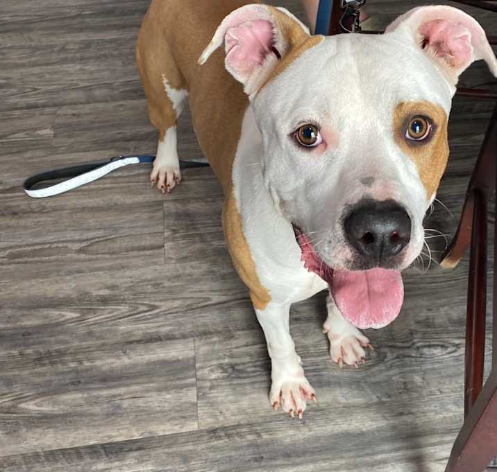 Photo of Duke