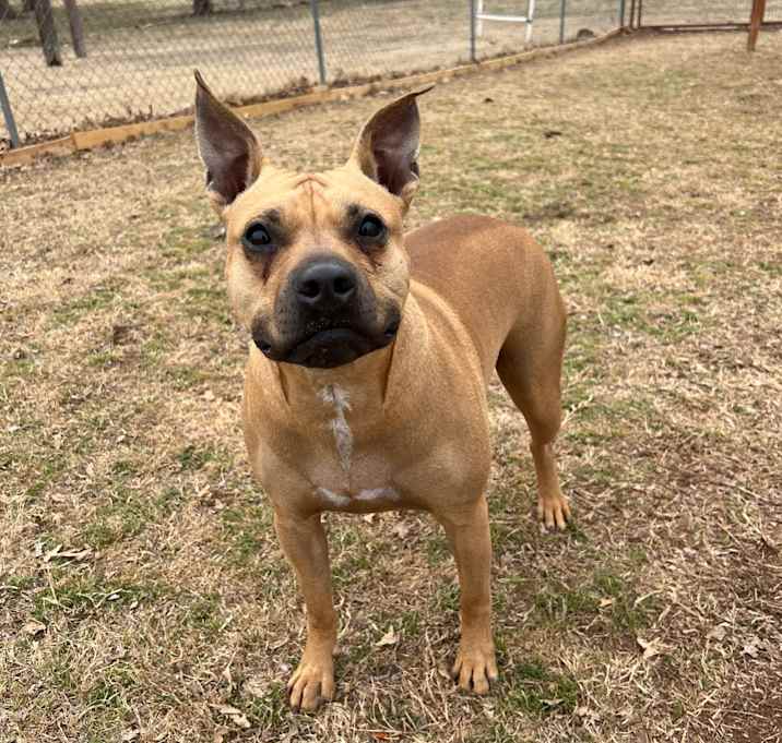 Photo of Phoebe