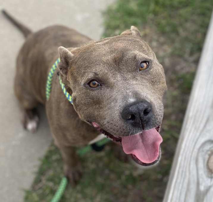 Photo of Dolly