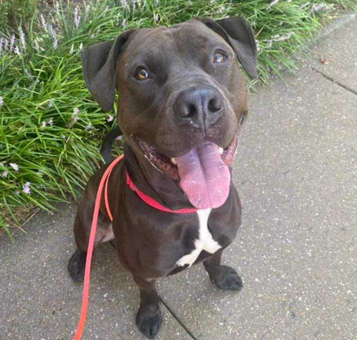 Photo of Thor