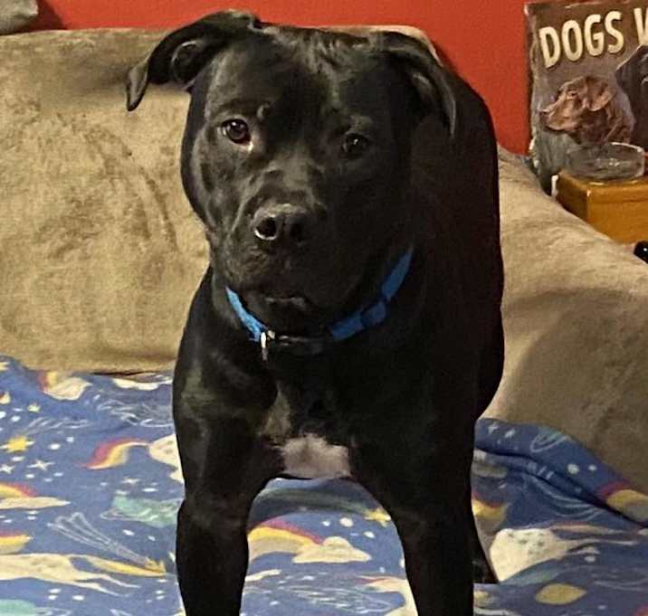 Photo of Cayden
