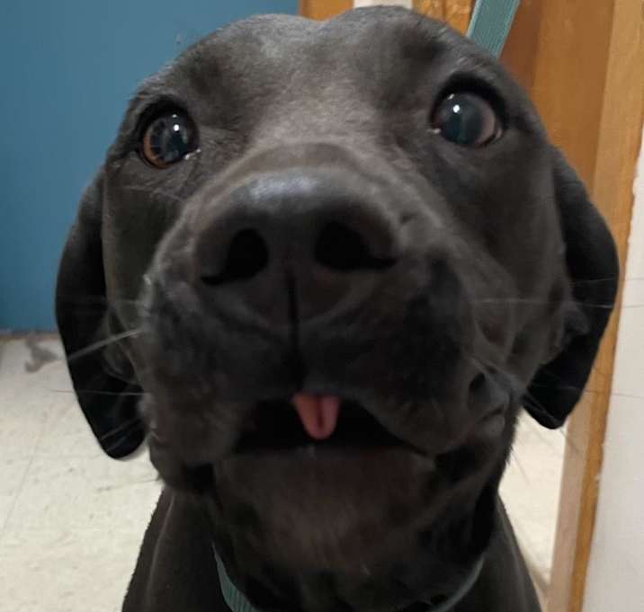 Photo of Baby